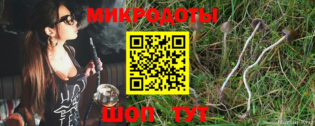 Мурманск  закладка  Вход с VPN  Псилоцибиновые грибы GOLDEN TEACHER 